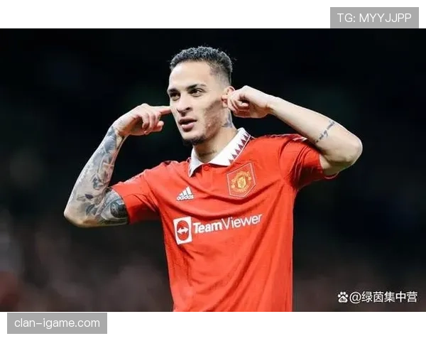 恩佐·费尔南德斯英超适应性与战术适配解析